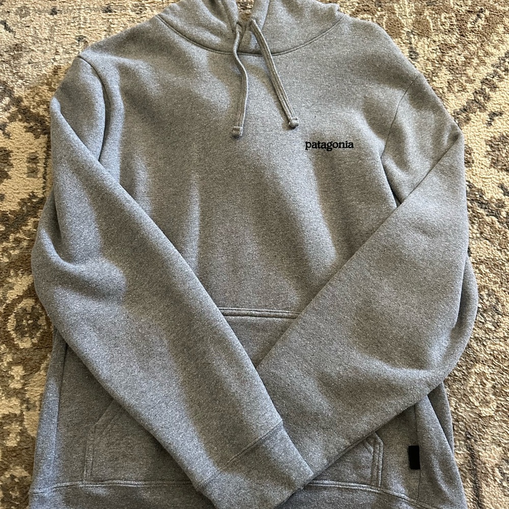 Patagonia Unisex Hoodie